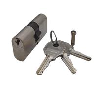 Lince - Cylindre Ovale de Serrure | Pour Profils Etroits Double Entrée | C00 36 X 36 Nickelé Fourni avec Trois clés Plates.