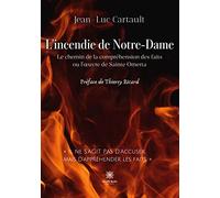 L'incendie de Notre-Dame: Le chemin de la compréhension des faits ou l'œuvre de Sainte Omerta
