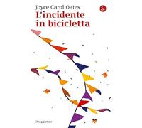 L'incidente in bicicletta