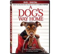 L'incroyable Aventure De Bella (A Dog¿S Way Home)
