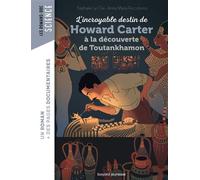 L'incroyable destin de Howard Carter, à la découverte de Toutankhamon - Nathalie Le Cleï - Bayard Jeunesse - broché - Roman cadet