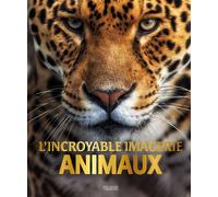 L'incroyable Imagerie animaux