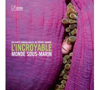 L'incroyable monde sous-marin