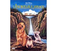 l'incroyable Voyage – Warner Bros.