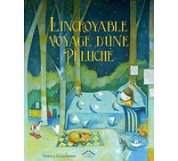 L'incroyable voyage d'une peluche
