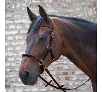 Linda Tellington Jones Bride Lindel LTJ de bridage sans mors avec muserolle Full = Cheval