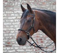 Linda Tellington Jones Bride Lindel LTJ de bridage sans mors avec muserolle Full = Cheval