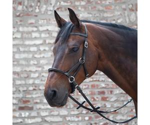 Linda Tellington Jones Bride Lindel LTJ de bridage sans mors avec muserolle Full = Cheval