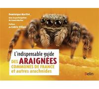 L'indispensable guide des araignées de France et autres arachnides - Cédric Villani - Belin - broché - Guide