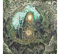 Lindley Creek - Whispers In The Wind [Compact Discs]