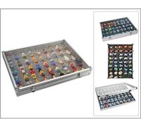 Alu-Vitrinen Casses Fossilien 45 cases 36x49x43mm Safe 5877 395x300x45mm
