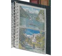 Lindner 811 Feuilles de recharge pour albums cartes postales CLASSIC