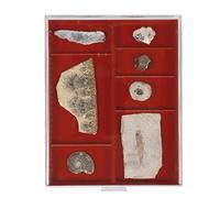 LINDNER Das Original Box pour collectionneurs Standard à 2 Compartiments Flexibles 105 x 280 x 29 mm