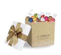 LINDT | Assortiment de 40 LINDOR dans une Boite "" le Bonheur tout simplement"" | Cadeau Anniversaire, Fête des Grands-Mères
