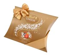 Lindt et Sprüngli Lindor paquet oreiller mélange 25 boules Lindor