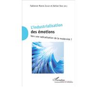 L'industrialisation des émotions Vers une radicalisation de la modernité ? - Adrian Staii - L'harmattan - broché - Essai