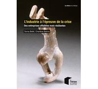 L'industrie à l'épreuve de la crise - Sonia Bellit - Presses Des Mines - broché - Guide