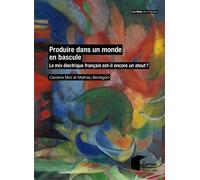 L'industrie face aux prix de l'énergie Les marchés européens sont-ils en défaut ? - Caroline Mini - Presses Des Mines - broché - Scolaire / Universitaire