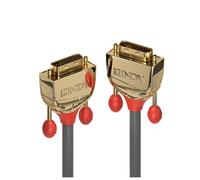 Lindy 36206 câble DVI 10 m DVI-D Or