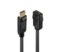 Lindy 41005 câble vidéo et adaptateur 0,15 m DisplayPort HDMI Noir