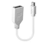 Lindy 41021 Câble DisplayPort Blanc