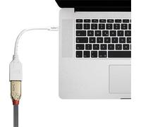 Lindy 41021 câble DisplayPort 0,15 m Mini DisplayPort Blanc