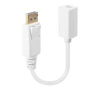 Lindy 41060 câble vidéo et adaptateur 0,15 m DisplayPort Mini DisplayPort Blanc