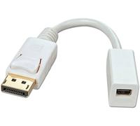 LINDY 41060 DisplayPort / Mini-Display Câble adaptateur [1x DisplayPort mâle - 1x Mini port Display femelle] blanc 15.00 cm