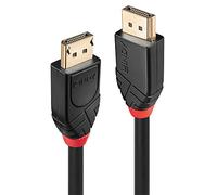 Câble de raccordement LINDY Fiche mâle DisplayPort, Fiche mâle DisplayPort 10.00 m noir 41078 Câble DisplayPort
