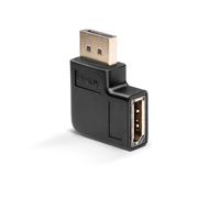 Lindy 41333 changeur de genre de câble DisplayPort Noir