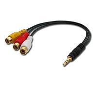 Lindy adaptateur audio/vidéo - vidéo / audio composite - 25 cm