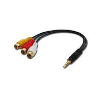 Lindy - Adaptateur audio/vidéo - vidéo / audio composite - mini jack 4 pôles mâle pour RCA femelle - 25 cm