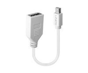Lindy - Adaptateur DisplayPort - Mini DisplayPort pour DisplayPort - 15 cm