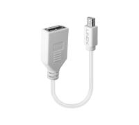 Lindy Adaptateur Mini DisplayPort vers DisplayPort 0.15m Blanc (Mâle/Femelle) - Câble Convertisseur Mini DP vers DP - Référence 41021
