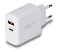 Lindy Chargeur GaN 65W USB Type A & C