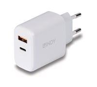 Lindy adaptateur secteur - USB de type A 4 broches/USB-C 24 broches - 30 Watt