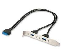 LINDY Adaptateur Slot USB 3.0, 2 x USB 3.0 Prises Type A