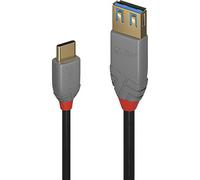 LINDY Adaptateur USB C vers DisplayPort 36895 150 cm Noir