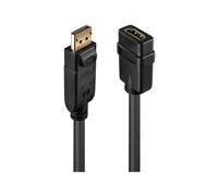 LINDY Câble adaptateur DisplayPort vers HDMI 1080p