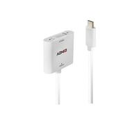 Lindy - Adaptateur vidéo - liaison simple - USB-C (M) pour DVI-D (F) - Thunderbolt 3 - 10 cm - support 1 920 x 1 200 (WUXGA) 60 Hz (DVI et VGA) - blanc