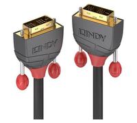 Lindy 36240 câble DVI 10 m DVI-D Noir