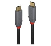 Anthra Line - Câble USB - 24 pin USB-C (M) pour 24 pin USB-C (M) - USB 3.2 Gen 2x2 - 20 V - 5 A - 2 m - Alimentation USB (100 W), support 4K60Hz