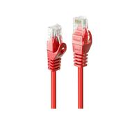 Lindy Basic - Câble de raccordement - RJ-45 (M) à RJ-45 (M)