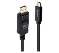 Lindy Câble adaptateur USB Type C vers DisplayPort 4K60 avec HDR, 2m
