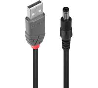 Lindy Câble adaptateur d'alimentation USB A mâle vers DC 5,5/2,1 mâle