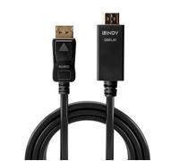 Lindy Câble DisplayPort vers HDMI 0,5 m DP1.2 → HDMI1.4 4K@30Hz 10.2Gbps – 10 ans