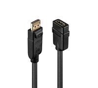 LINDY Câble Adaptateur DisplayPort vers HDMI 1080p