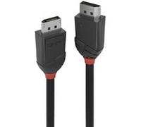 Lindy Câble DisplayPort 36493 – Fiches mâles 3,00 m noir