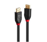 Lindy Câble DisplayPort mâle–mâle 10 m noir, contacts dorés