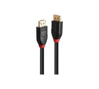 Lindy Câble DisplayPort mâle–mâle 10 m noir, contacts dorés